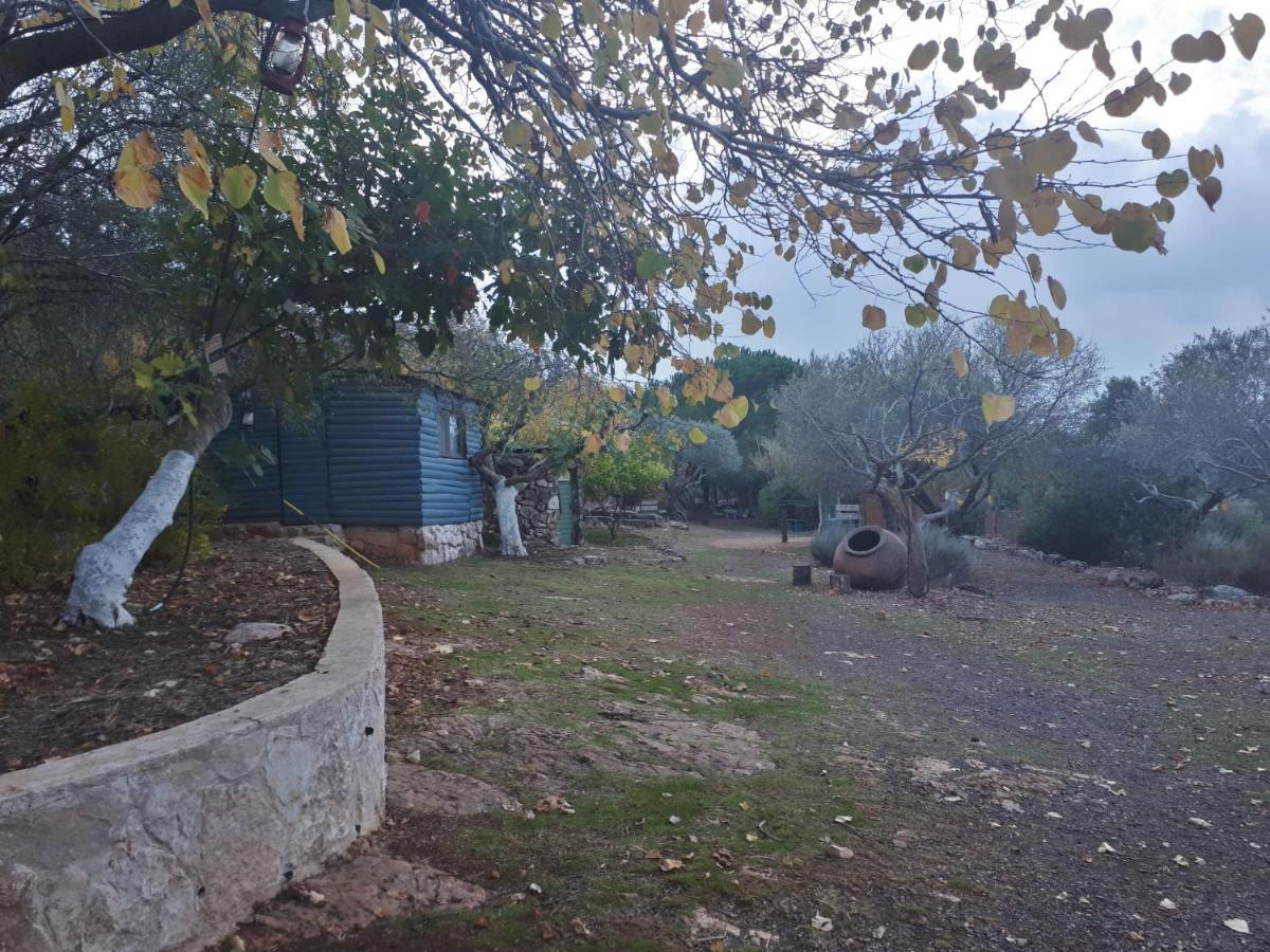 Hotel Back To Nature Camping & Huts à Mikhmannim Extérieur photo