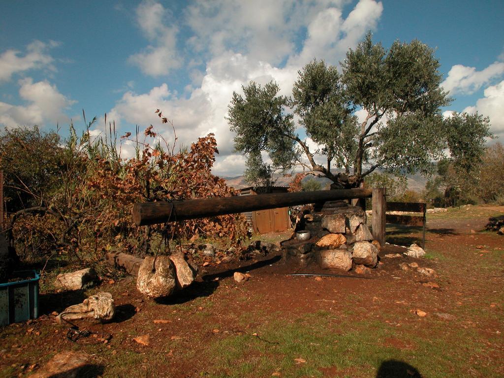 Hotel Back To Nature Camping & Huts à Mikhmannim Extérieur photo